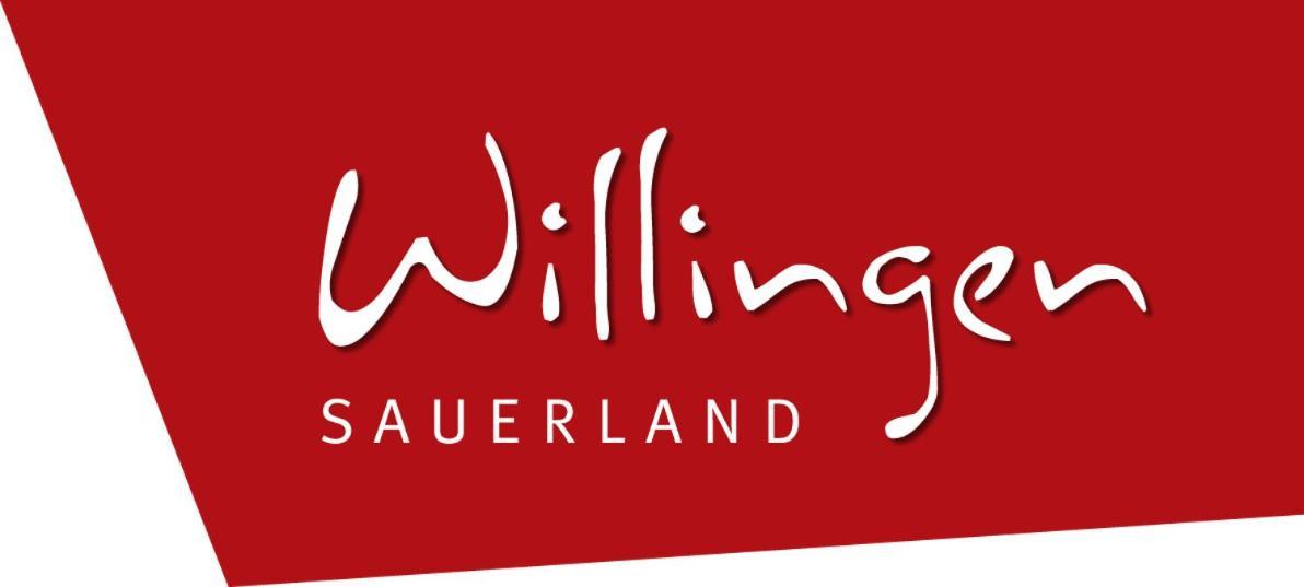 Komfort-Fewo Blickfang Willingen*** ヴィリンゲン エクステリア 写真