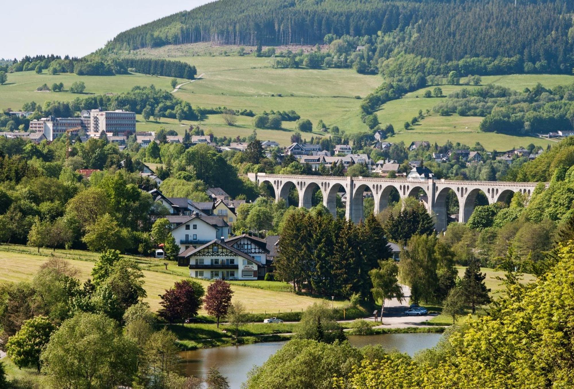 Komfort-Fewo Blickfang Willingen*** ヴィリンゲン エクステリア 写真